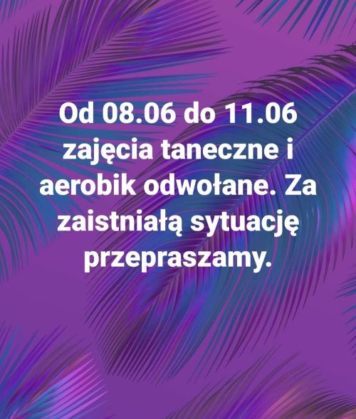 zajęcia